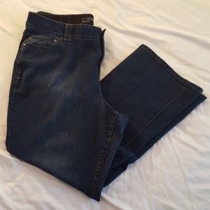 Lane Bryant T3 Boot Cut Jeans